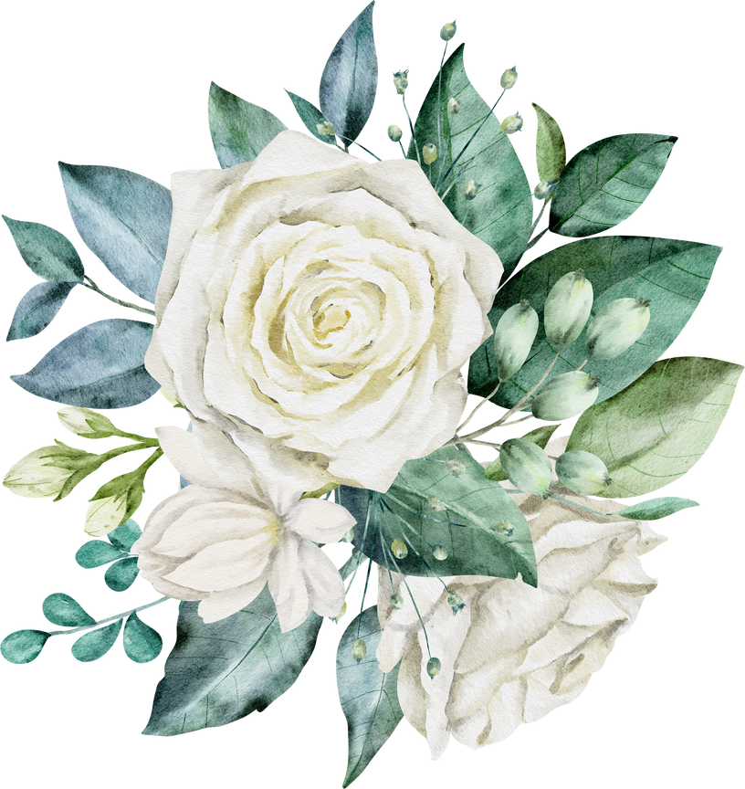 Green leaves and white rose watercolor