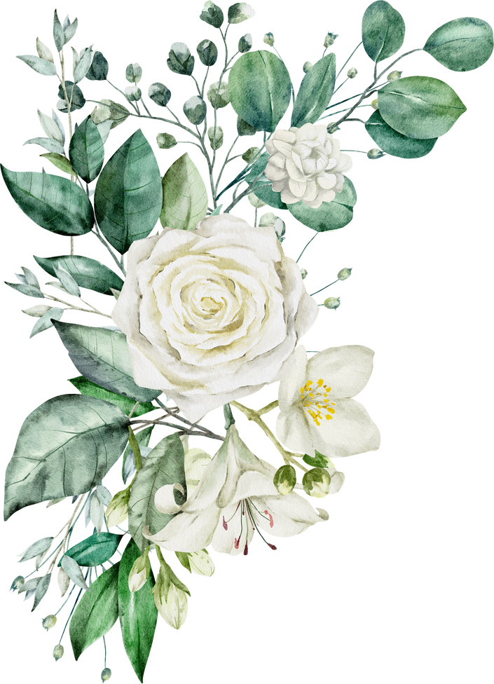 Green leaves and white rose watercolor