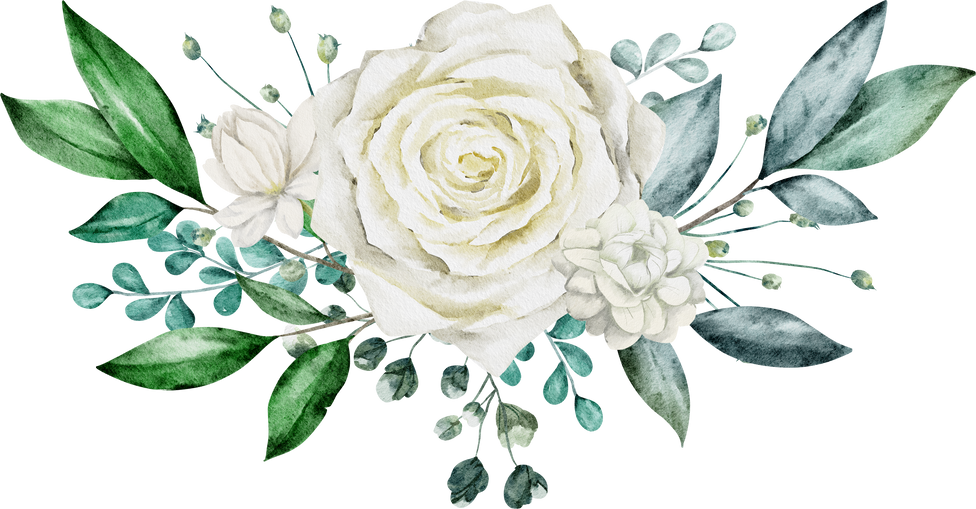 Green leaves and white rose watercolor